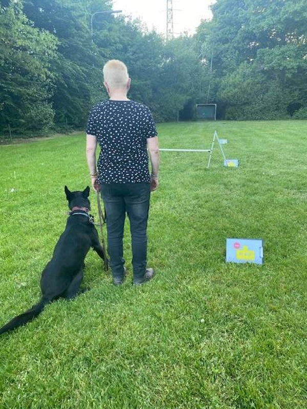 Nieuw! Rally Obedience