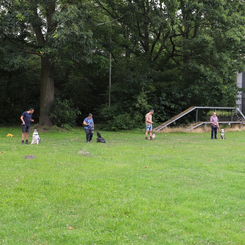 img_1371jpg.jpg