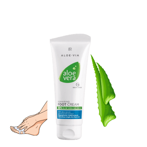 Crème pour les pieds aloe vera lr