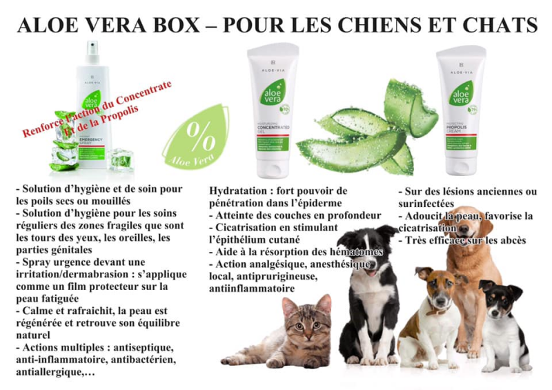 aloe vera box animaux lr health beauty