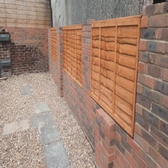 20250717_111450-standard.jpg