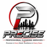 Precise professional cleaning services