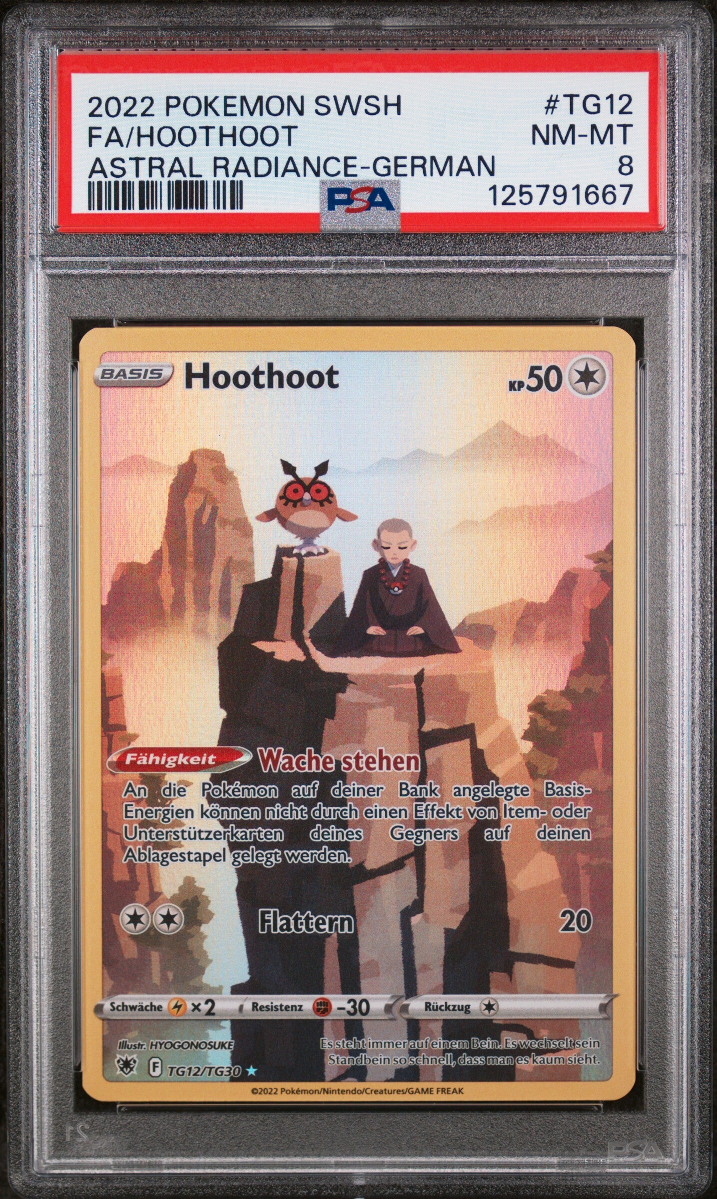 PSA 8 - HootHoot TG12/TG30 DE