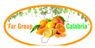 FAR GROUP CALABRIA