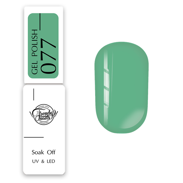 GEL POLISH N°077
