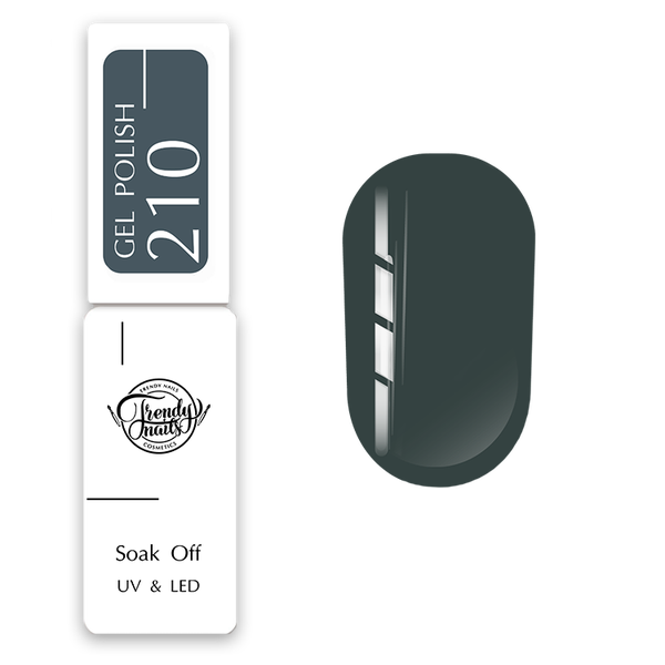 GEL POLISH N°210