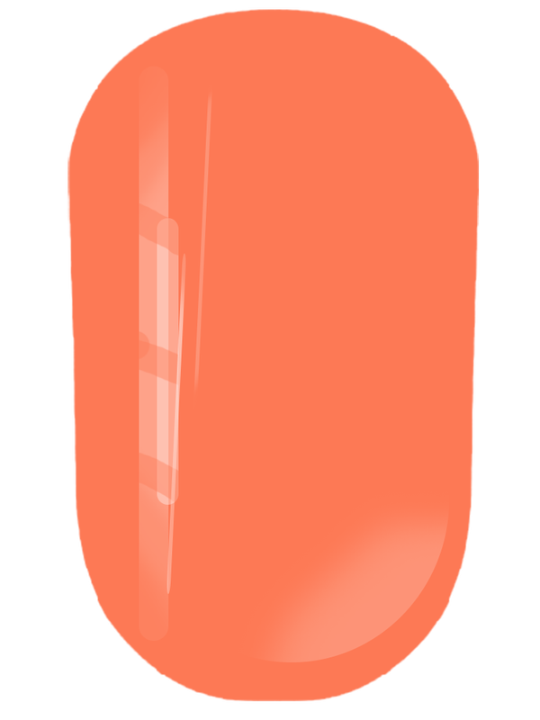 PAINT GEL NO WIPE N°05