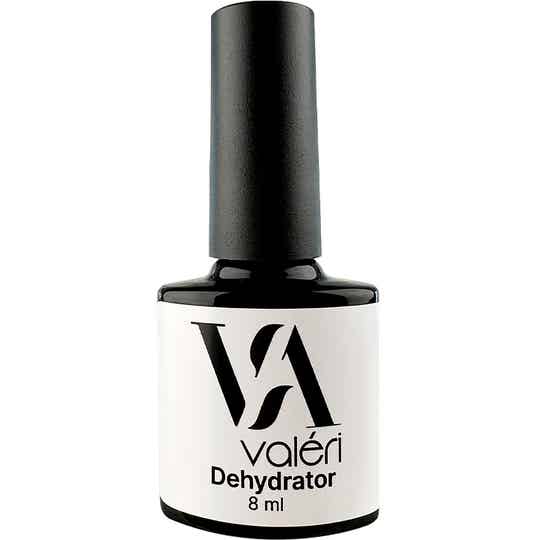 Dehydrator