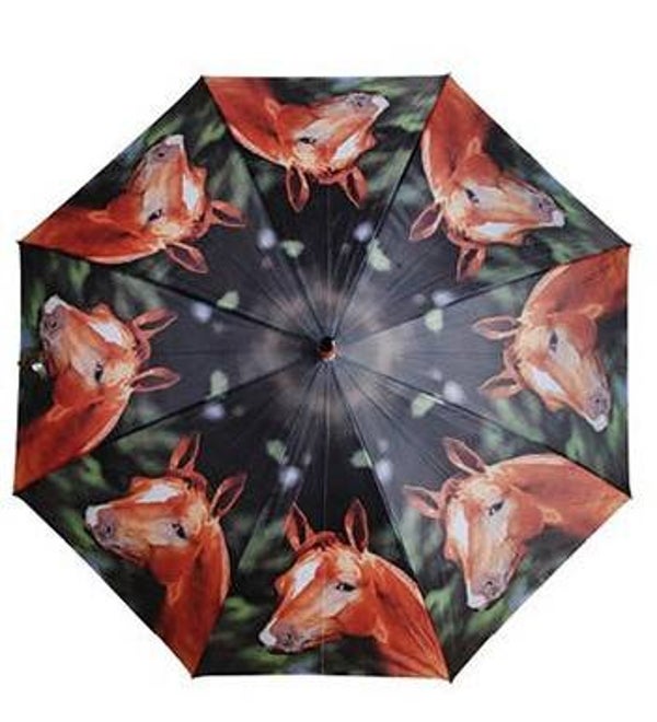 Paraplu met paardenhoofd