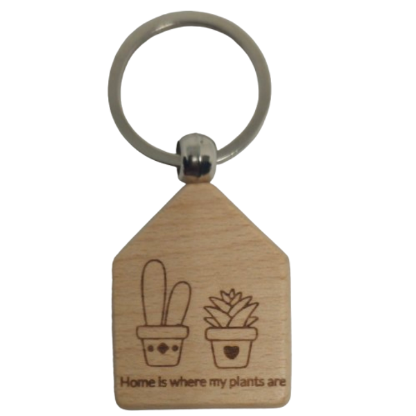 Huissleutel  hanger plants