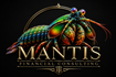 Mantis Financial Consulting