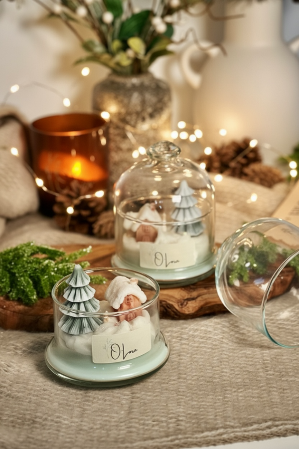 Stolpje Winter Cabin/Winter Cats