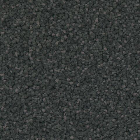 Lexmark TH916 — Garden 559