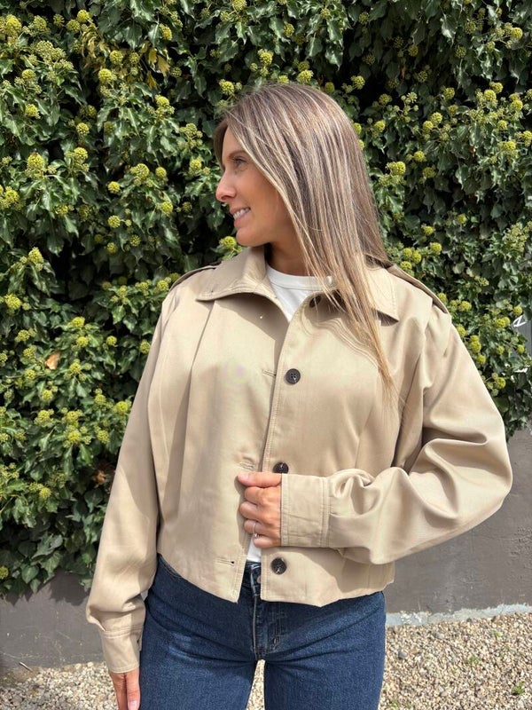 Trench court bomber
