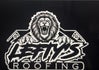 leftysroofing.com