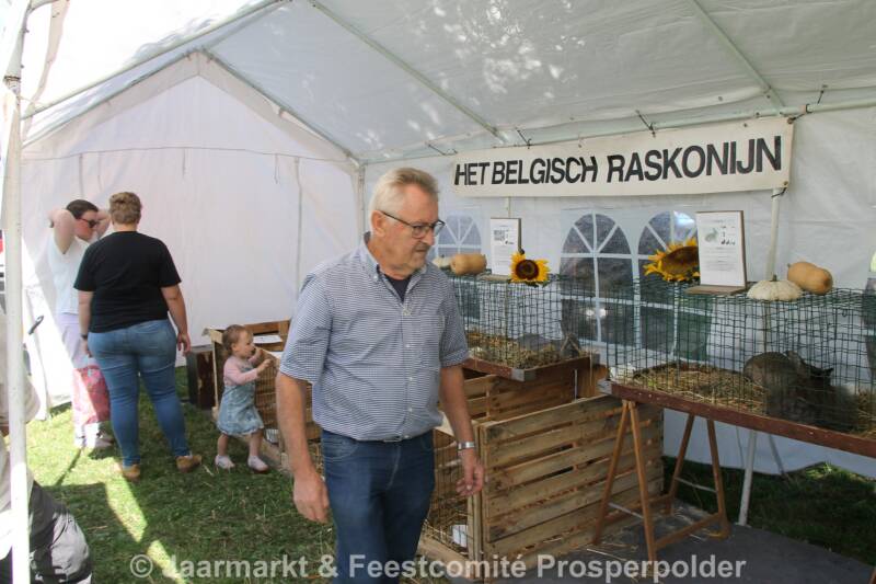 img_1034-40-standard.jpg