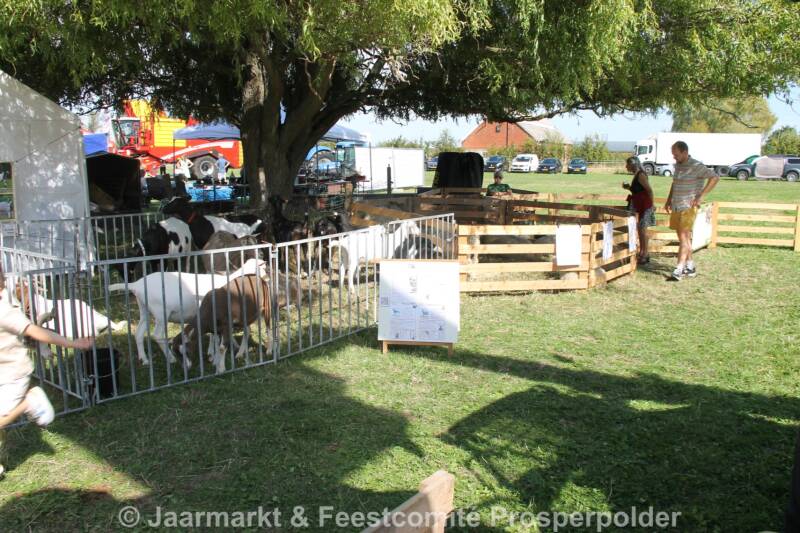 img_1037-40-standard.jpg
