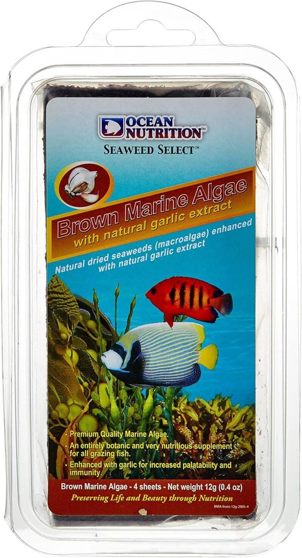 Ocean Nutrition (ON) Freeze-Dried Seaweed – Brown Algae – 12g