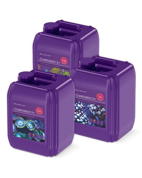 Aquaforest Component 1+2+3+