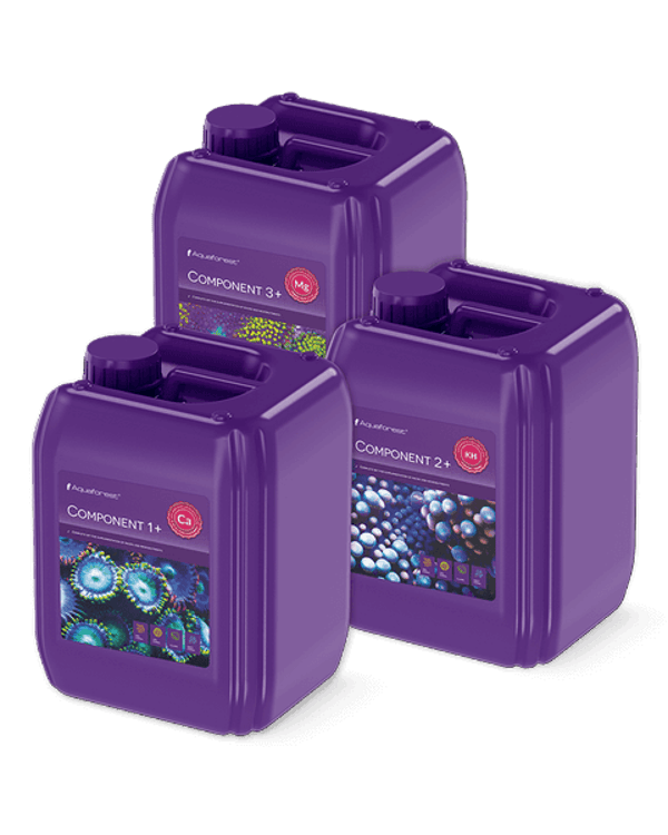 Aquaforest Component 1+2+3+