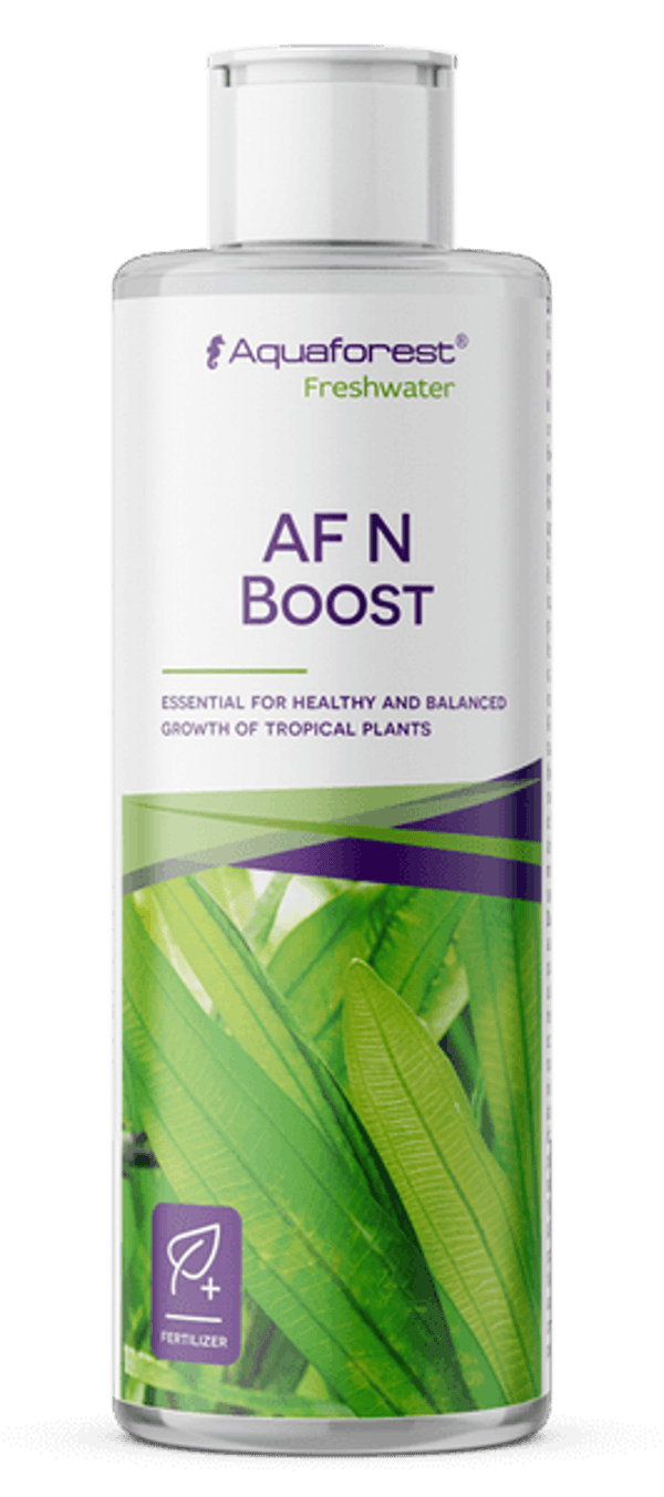 AF N Boost 250ml