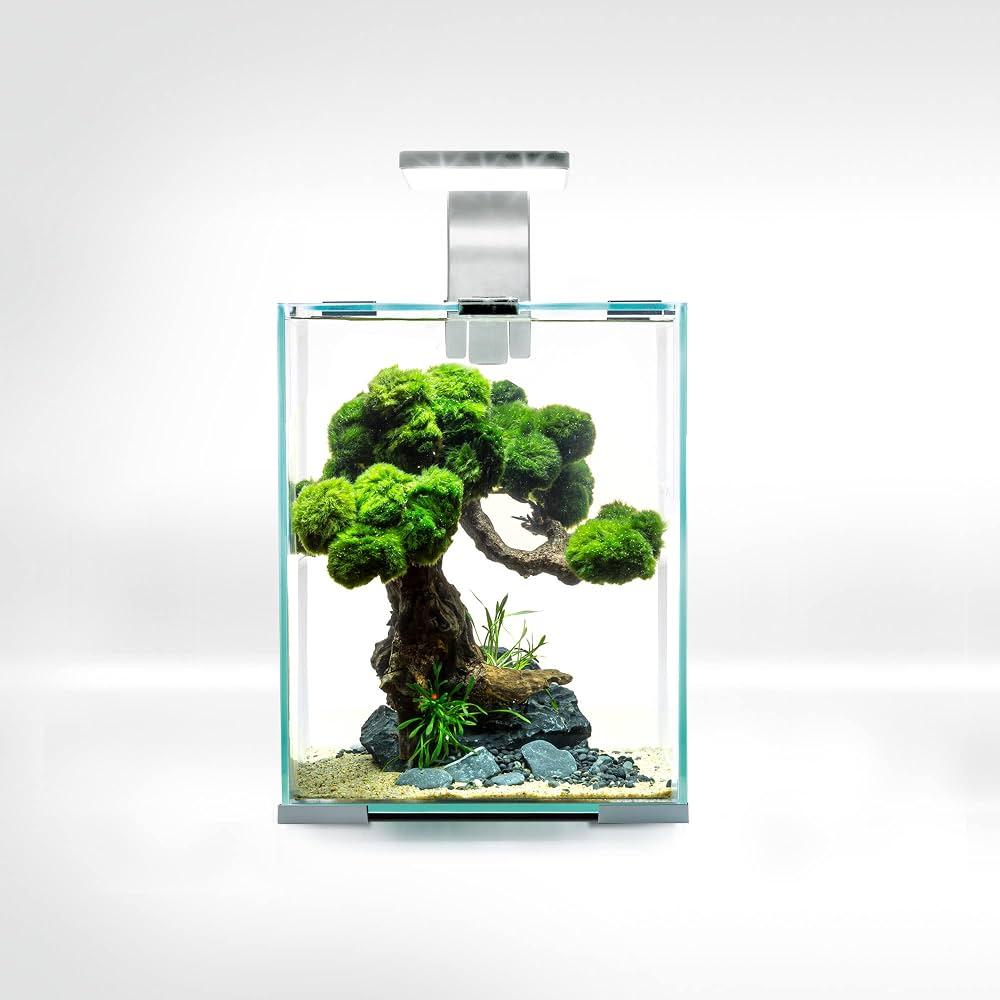 Aquael Shrimp Set Day & Night – Complete Nano Aquarium (10L / 20L / 30L)