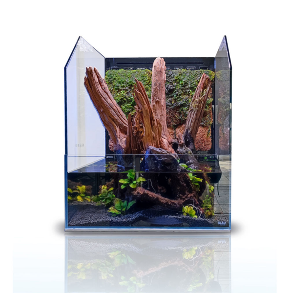 Blau Cubic Selva – Premium Paludarium with Waterfall & Mist Maker (35 / 45)