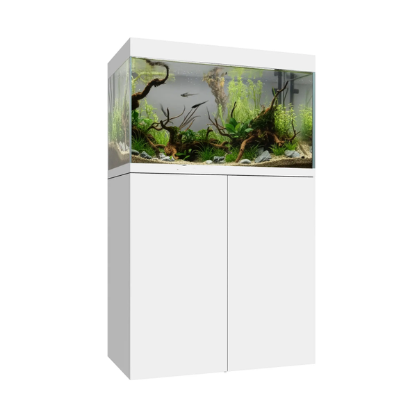 Waterbox EDEN X – Premium Freshwater Aquarium (225L / 302L / Peninsula)