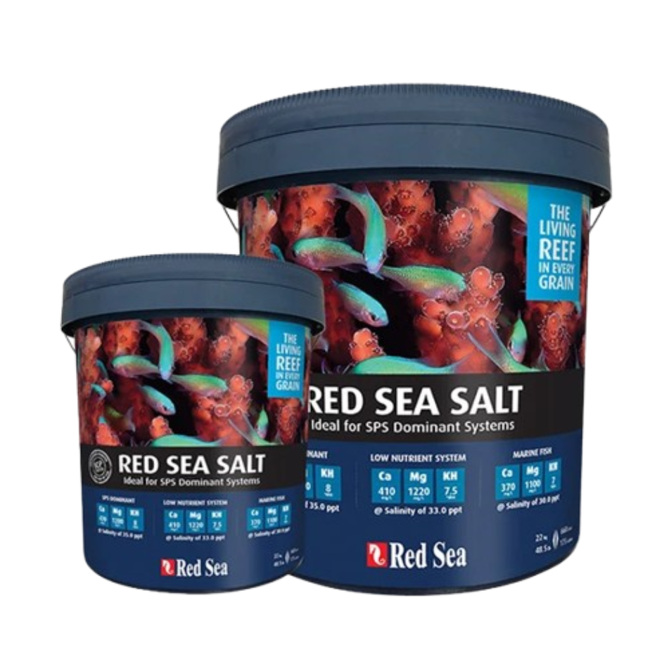 Red Sea Salt