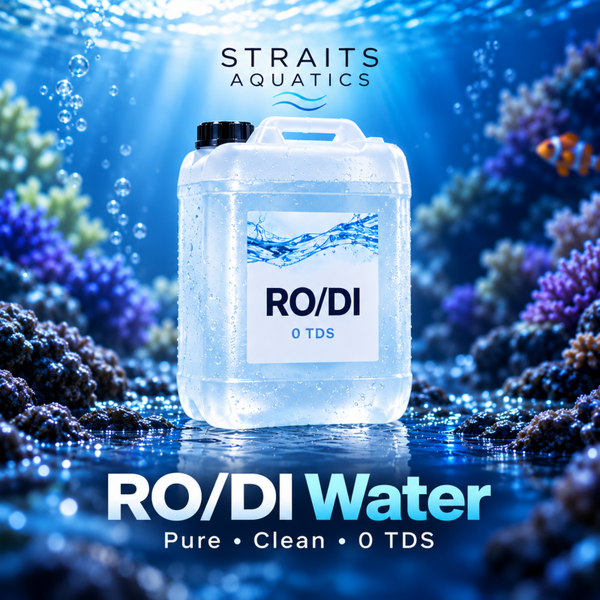 RO/DI Water – 0 TDS