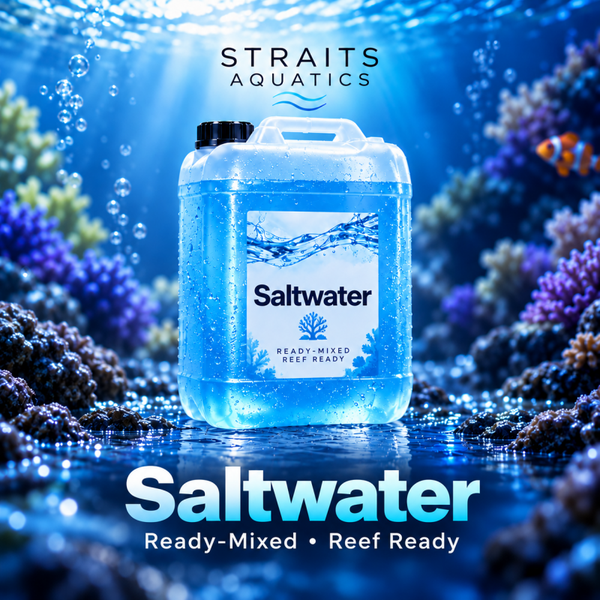 Ready-Mixed Saltwater – ATI Absolute Ocean