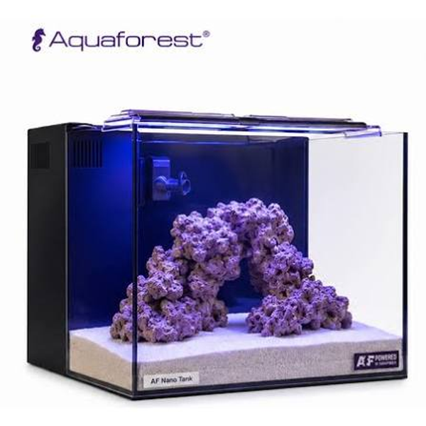 Aquaforest Nano Tank – Compact Marine Aquarium
