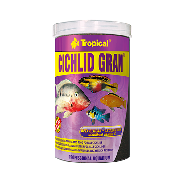 Cichlid Gran