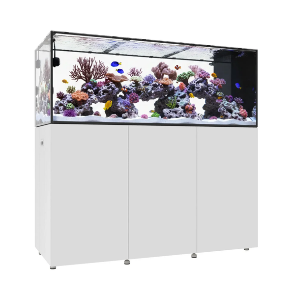 Waterbox INFINIA PENINSULA 6025 – Premium Peninsula Reef Aquarium System
