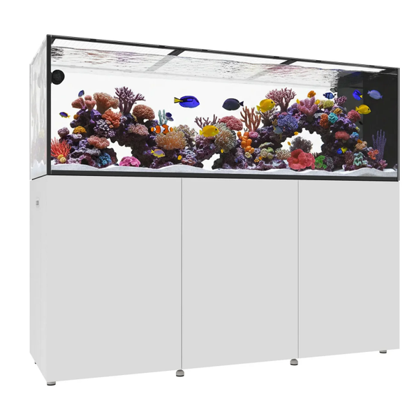 Waterbox INFINIA PENINSULA 7225 – Premium 6ft Peninsula Reef Aquarium System