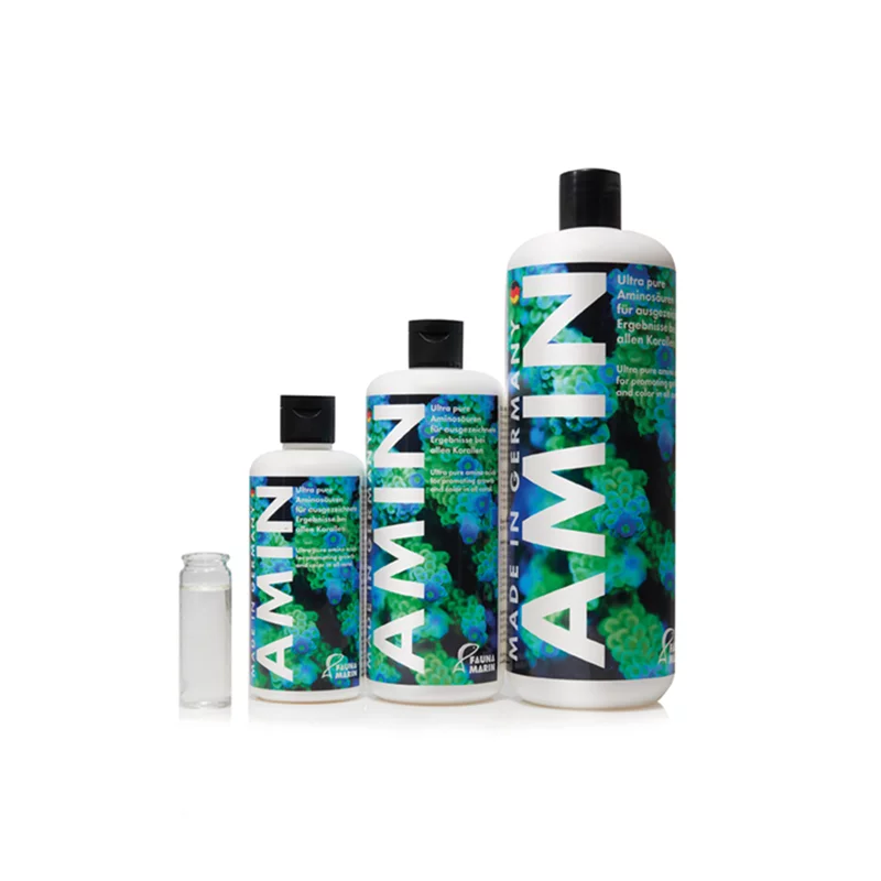 Fauna marin Amin