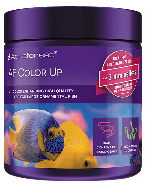 AF Color Up