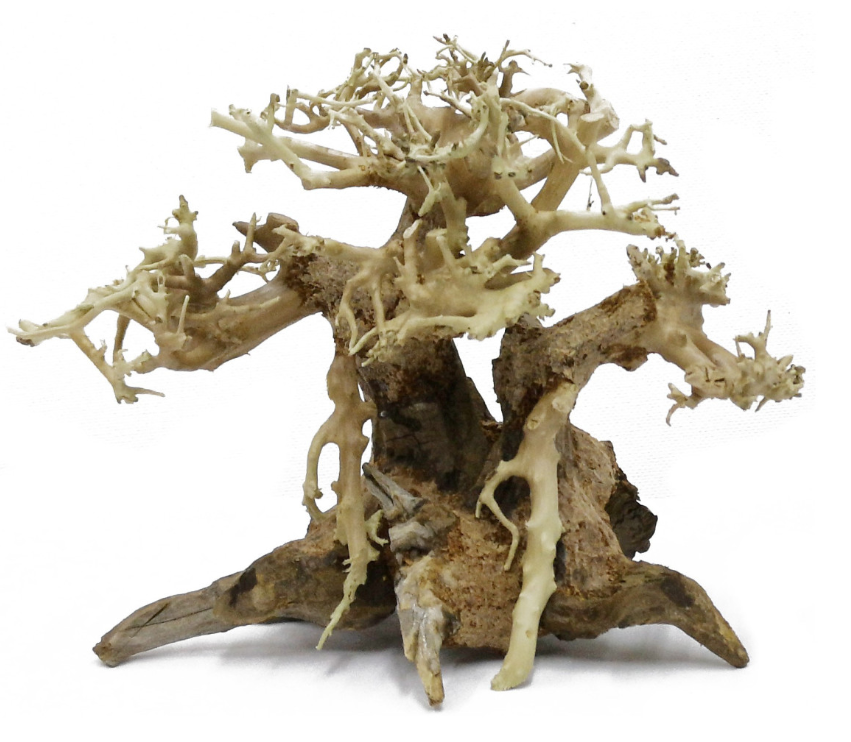Bonsaqua Natural Bonsai – Aquarium Aquascaping Decoration (Multiple Designs & Sizes)