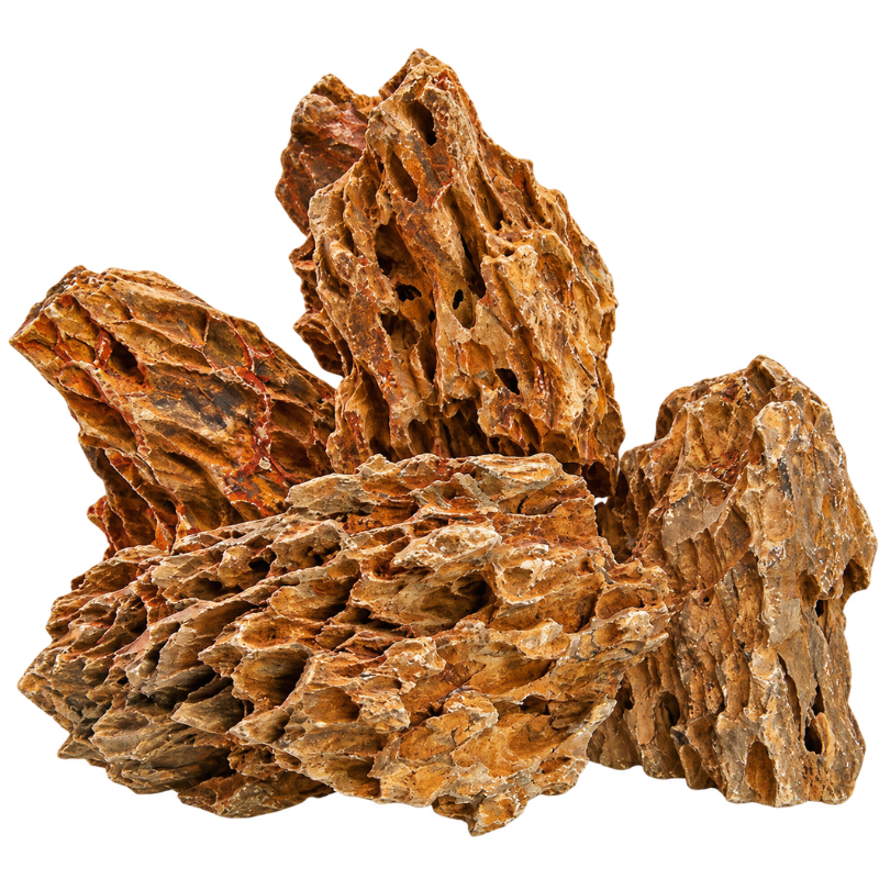 Bonsaqua Dragon Rock (W01)
