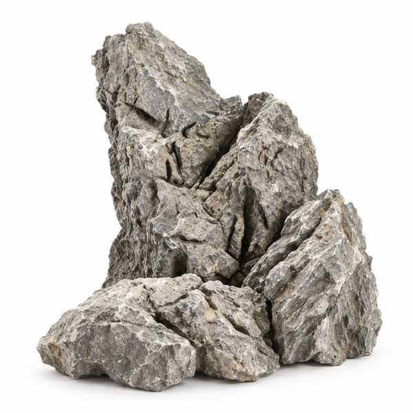 Bonsaqua Ancient Seiryu Rock (W04)