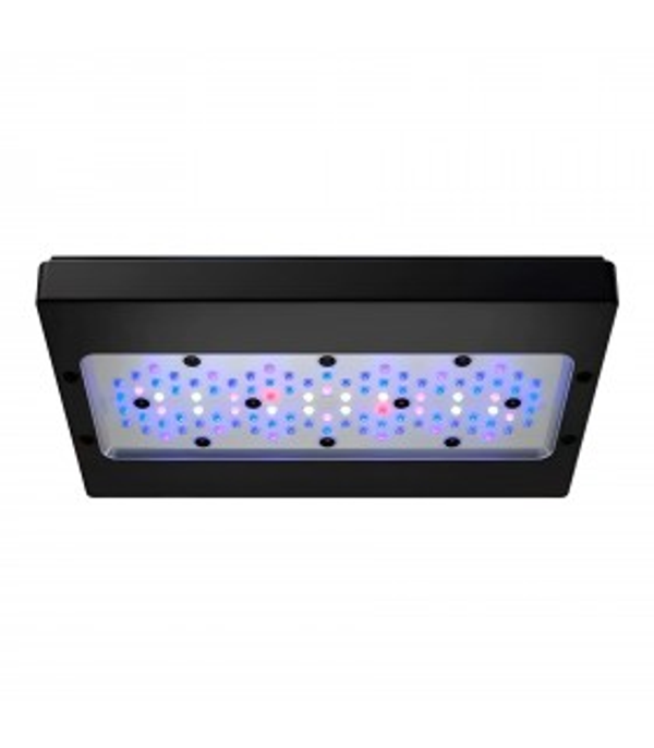 Ecotech Radion XR30 G6 LED