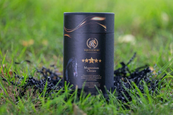 Magnesium Citrate 500gr