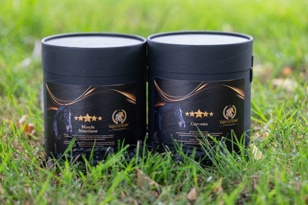 Combi Curcuma + muscle stimulator