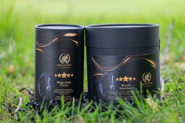 Combi Spier & Gewrichten