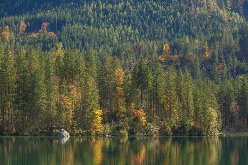 hintersee24087-standard.jpg