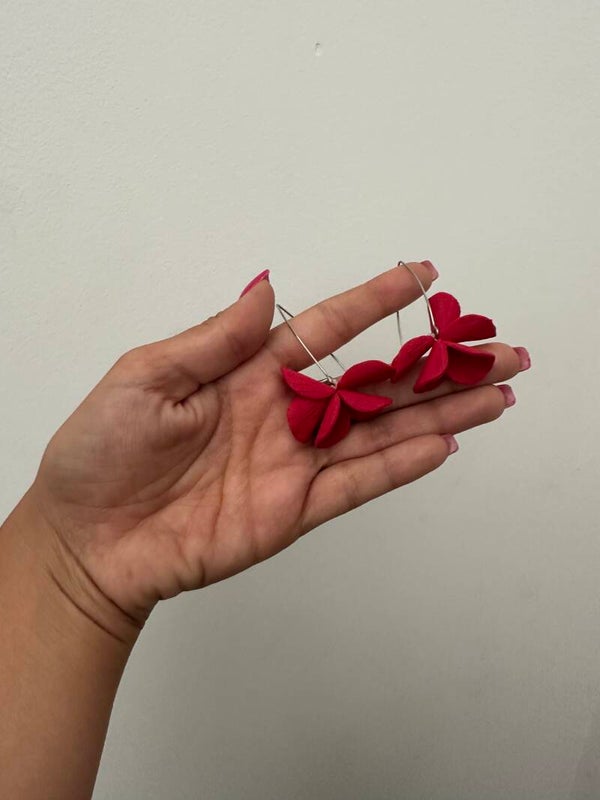 Modelo Aura