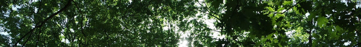 natuur