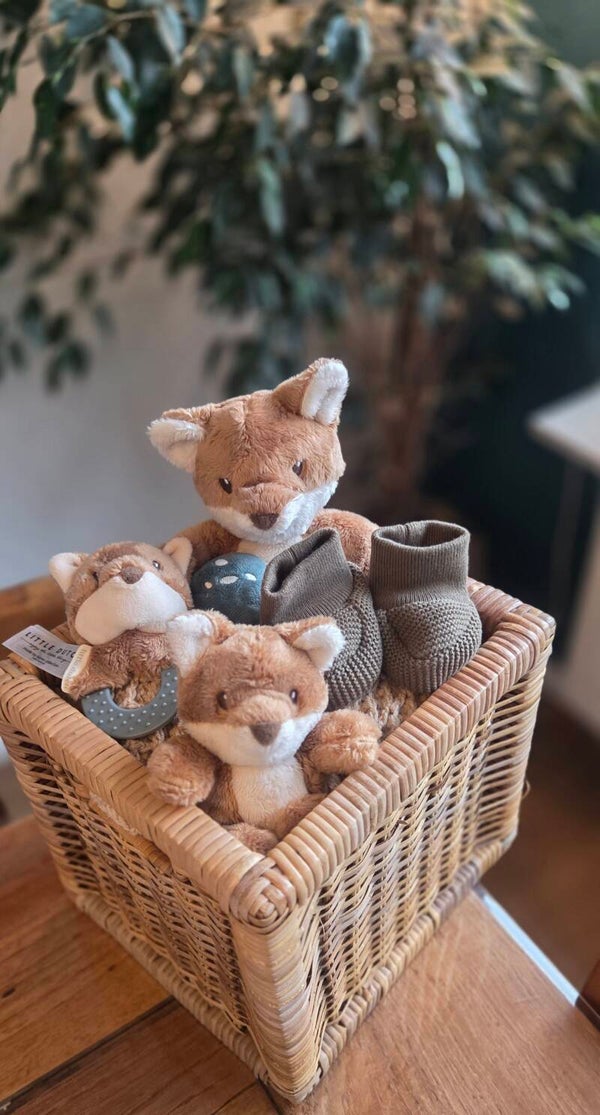 Kraamcadeau little Dutch