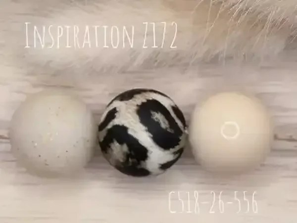 Z172