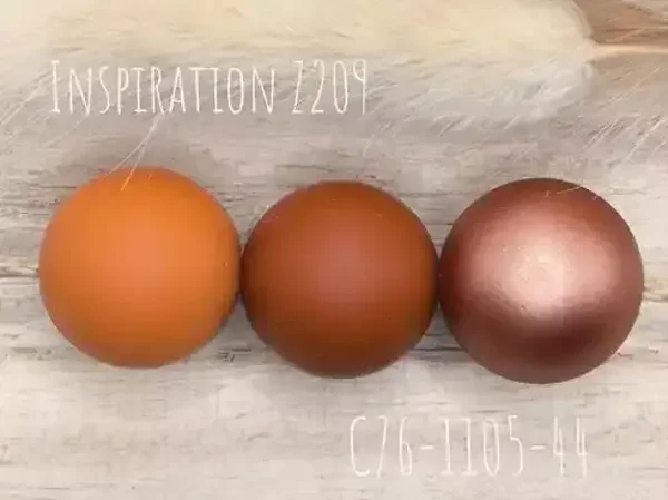 Z209